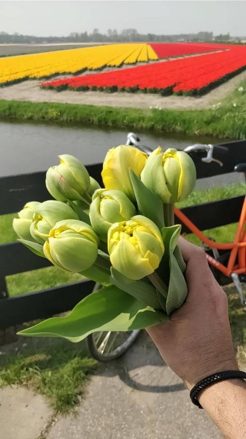 Amsterdam Schiphol Airport Hoofddorp